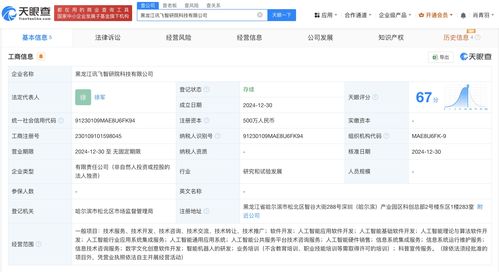 科大訊飛在黑龍江成立智研院科技公司，布局AI基礎軟件開發新藍圖